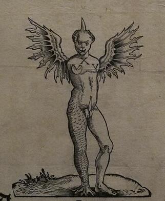 Scopri di più sull'articolo STORIE DI MOSTRI, STORIE DI BATTAGLIE